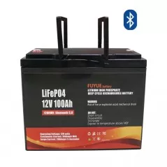LiFePO4 аккумулятор 100Аг 12.8В BMS 100A для инвертора 1200Вт +Bluetooth модуль