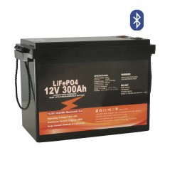 LiFePO4 аккумулятор 300Аг 12.8В BMS 250A +Bluetooth модуль для інвертора FCHAO 3000Вт